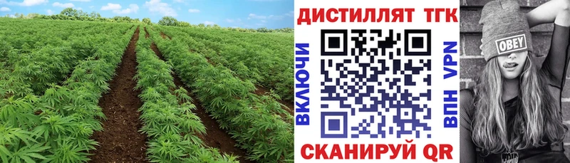 KRAKEN зеркало  Котельниково  ТГК жижа 